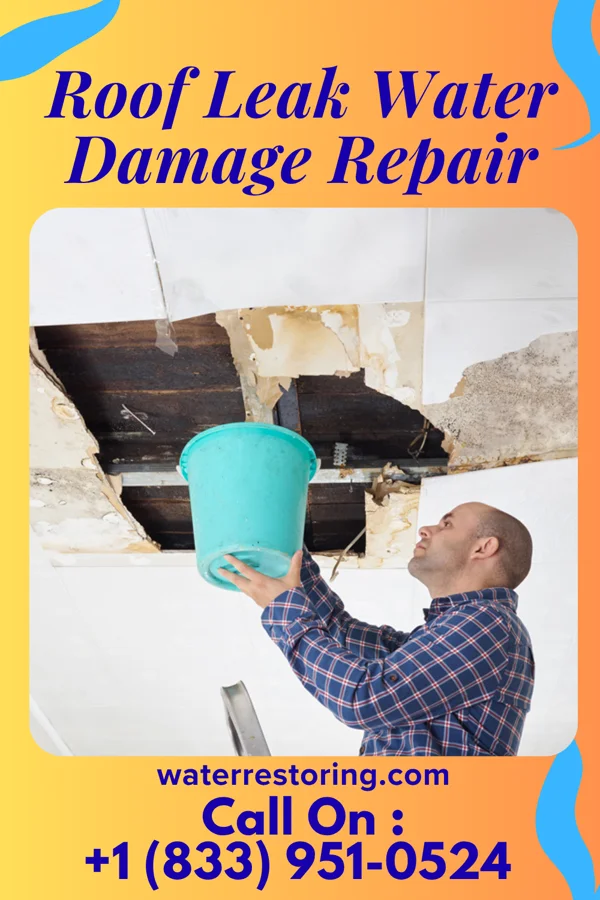 Roof Leak Water Damage Repair in Newton, MS