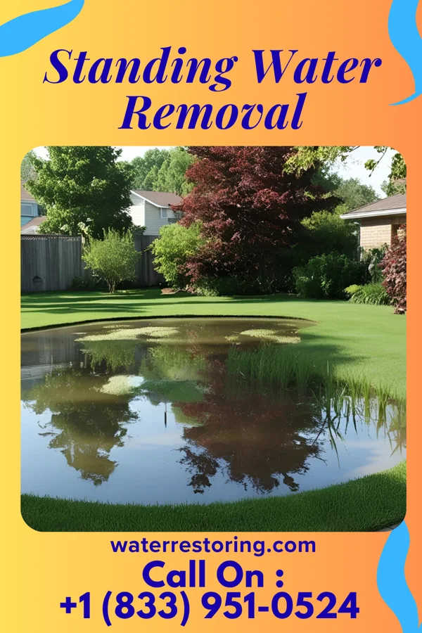 Standing Water Removal in Newton, MS
